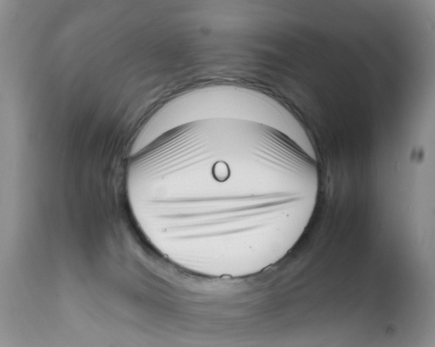 X0000111630036200908141354