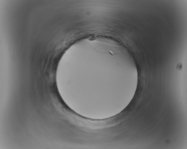 X0000111630039200908141354