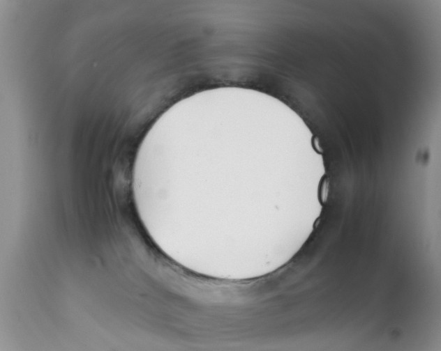 X0000111630040200908141354