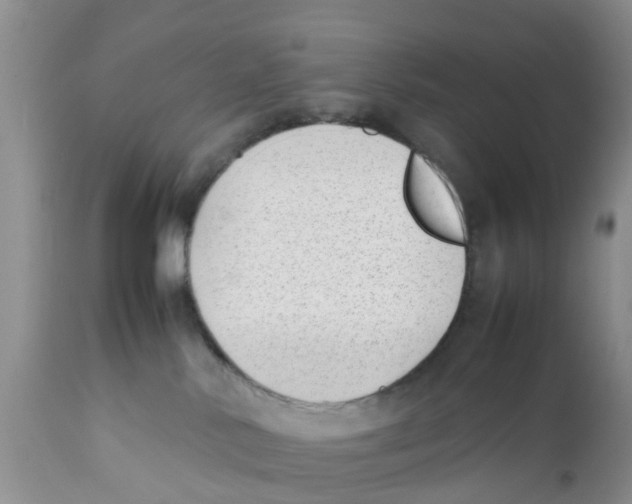 X0000111630042200908141354
