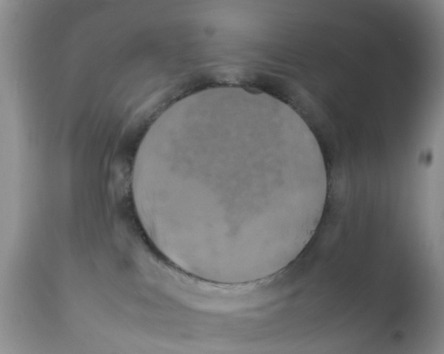 X0000111630043200908141354
