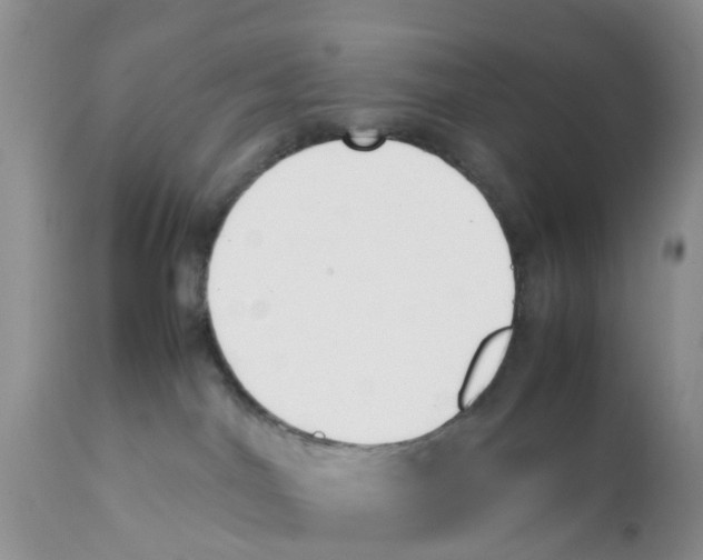 X0000111630044200908141354