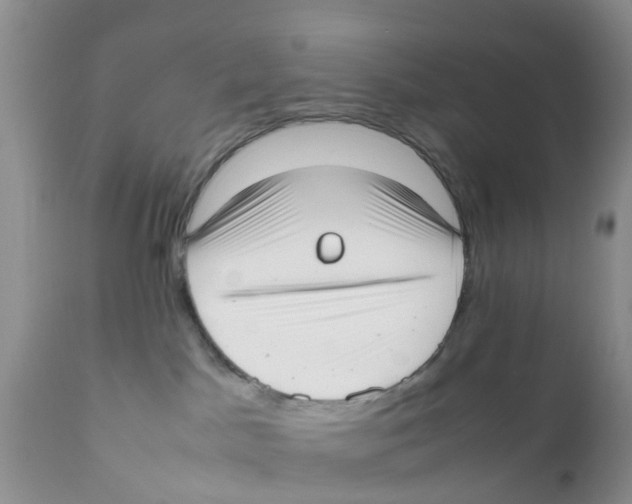 X0000111630045200908141354