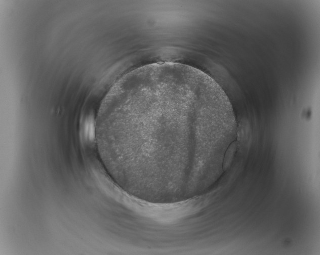 X0000111630046200908141354