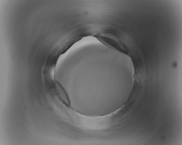 X0000111630047200908141354