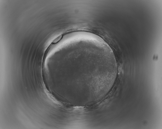 X0000111630052200908141353