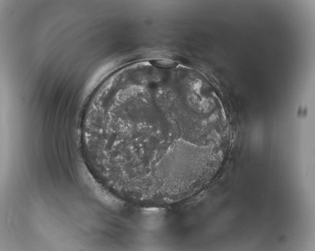 X0000111630053200908141353