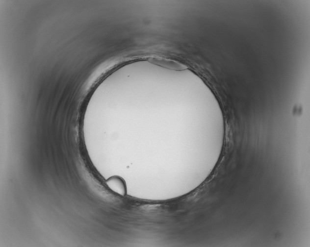 X0000111630054200908141353