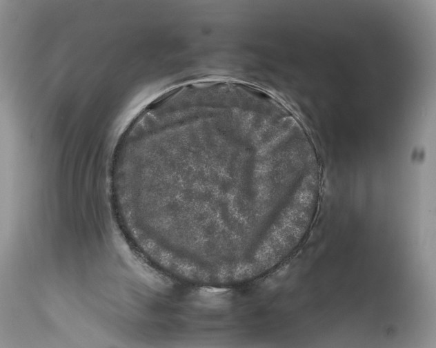 X0000111630055200908141353