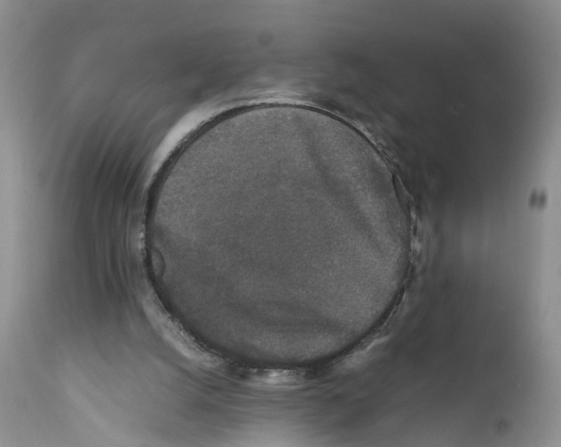X0000111630056200908141353