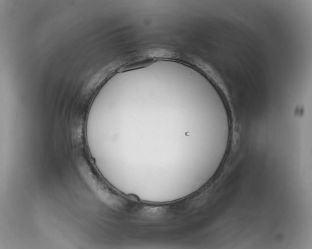 X0000111630057200908141353