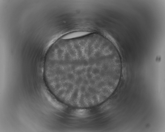 X0000111630059200908141353