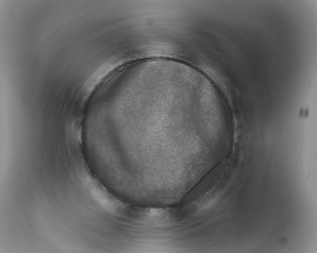 X0000111630060200908141353