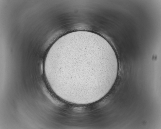 X0000111630061200908141353