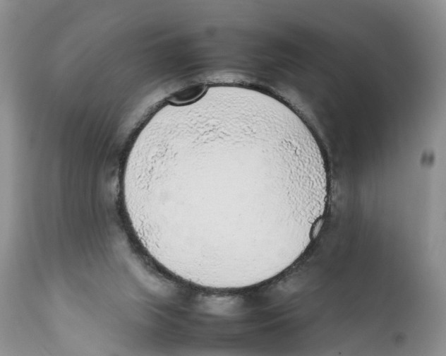 X0000111630063200908141353