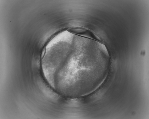 X0000111630064200908141353