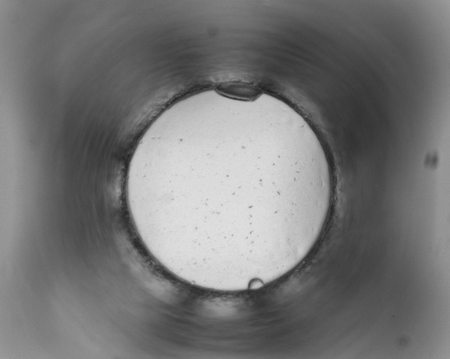 X0000111630065200908141353