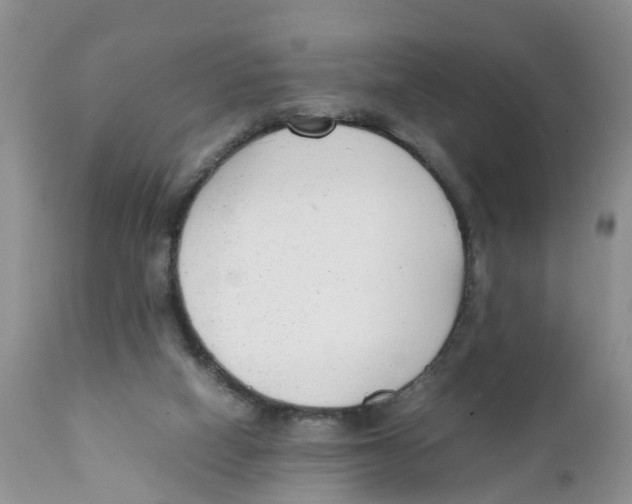 X0000111630066200908141353