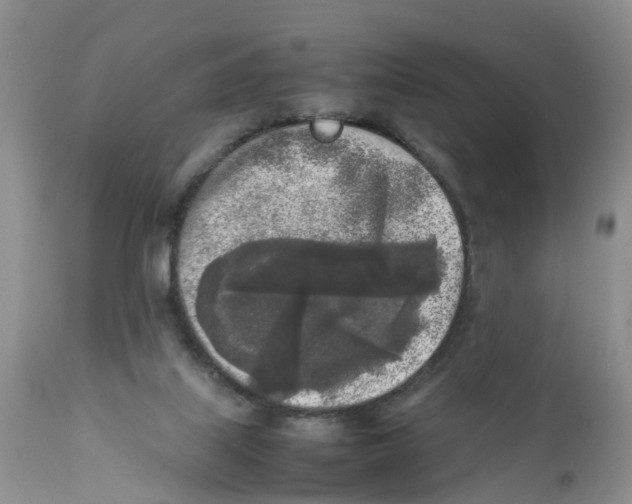 X0000111630067200908141353