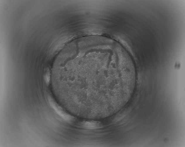 X0000111630069200908141353