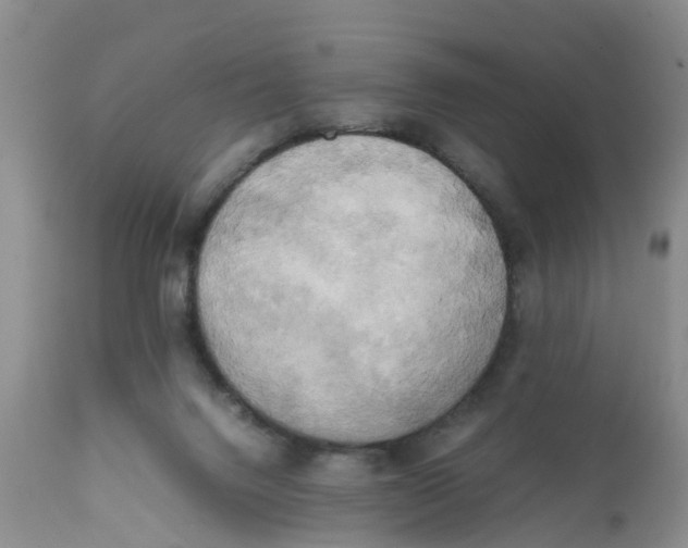 X0000111630072200908141353