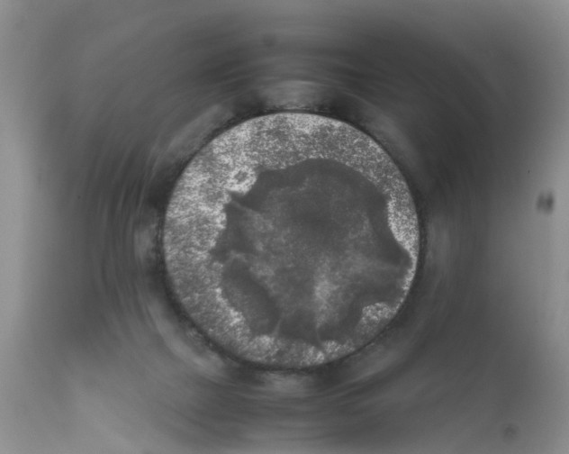 X0000111630073200908141353