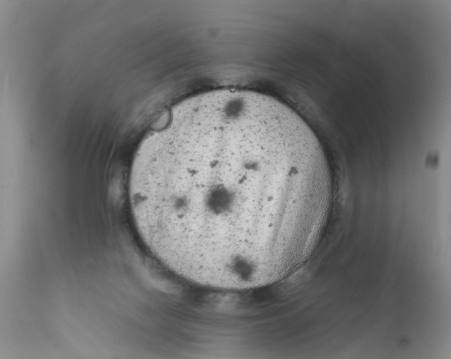 X0000111630074200908141353