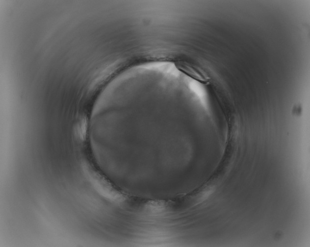 X0000111630076200908141353