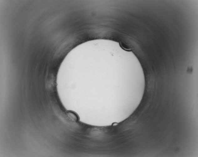 X0000111630077200908141353