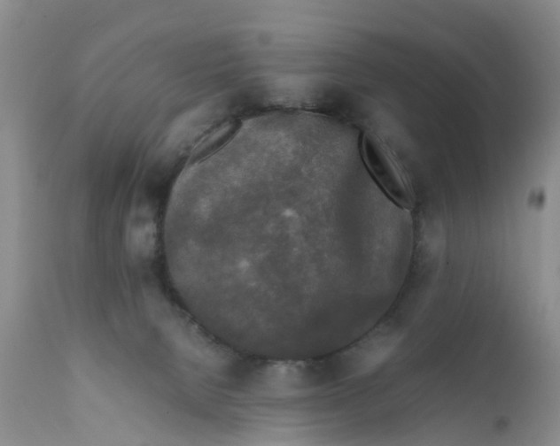 X0000111630080200908141353