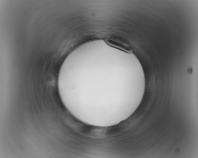 X0000111630084200908141353
