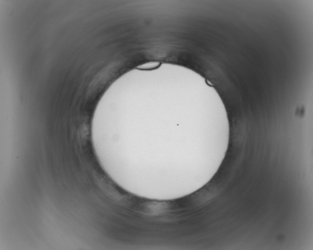 X0000111630085200908141353