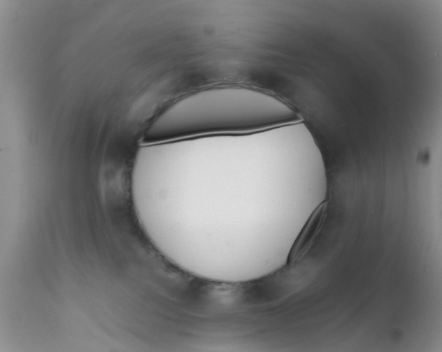 X0000111630088200908141353