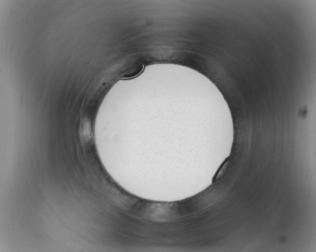 X0000111630089200908141353