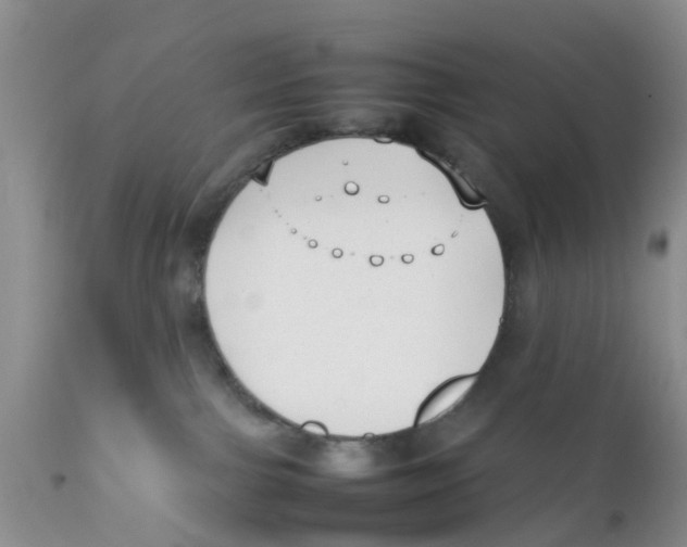 X0000111630091200908141353