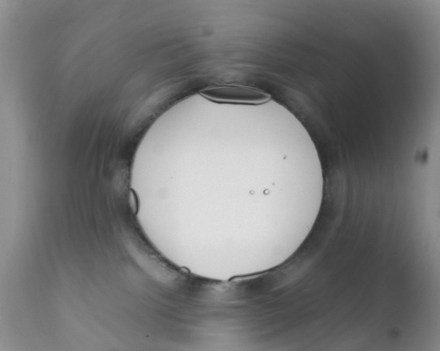 X0000111630092200908141354
