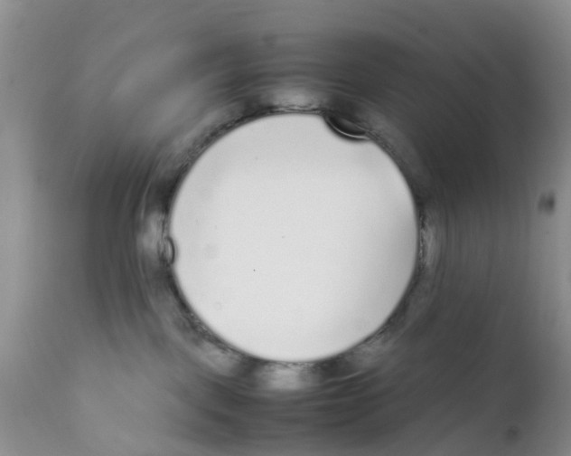 X0000111630093200908141354