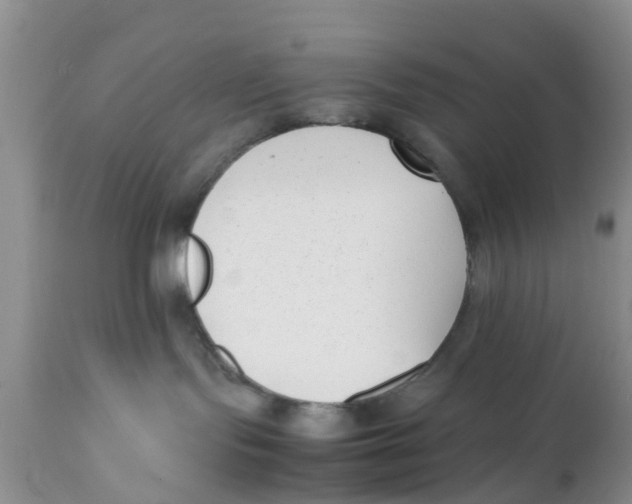 X0000111630095200908141354