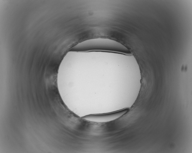 X0000111630096200908141354