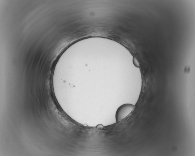 X0000111630098200908141353