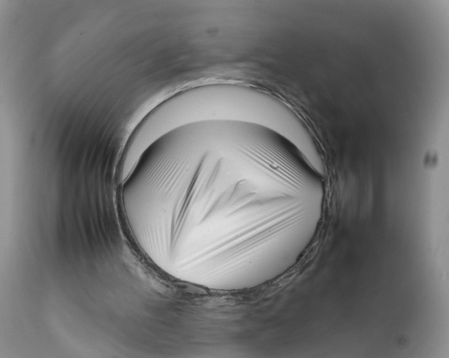 X0000111630100200908141353