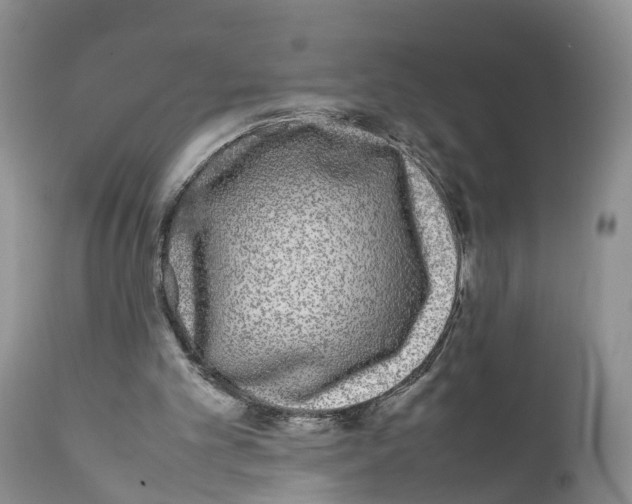X0000111630101200908141353