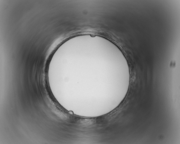 X0000111630102200908141353