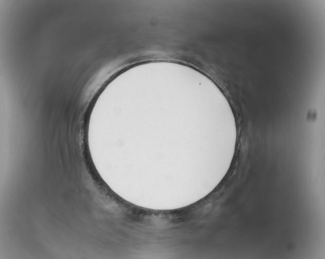 X0000111630103200908141353