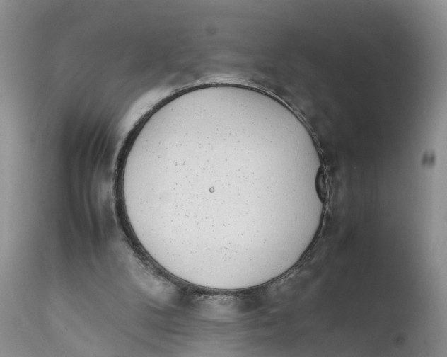 X0000111630104200908141353