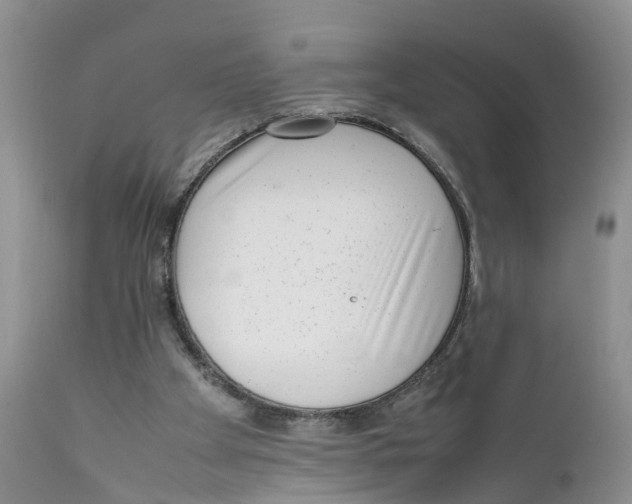 X0000111630105200908141353