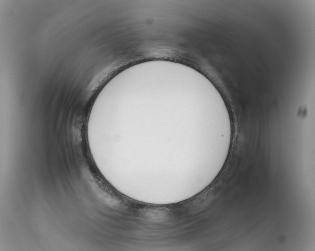X0000111630106200908141353