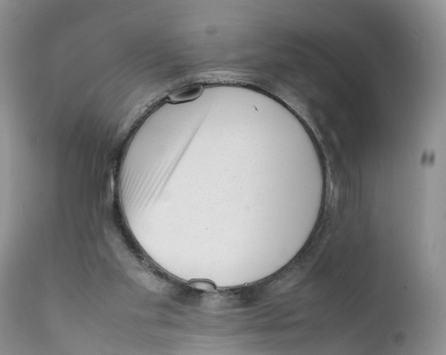 X0000111630109200908141353