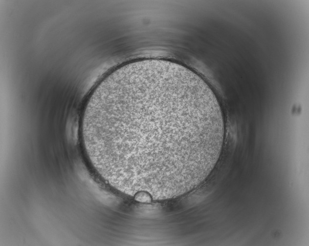 X0000111630110200908141353