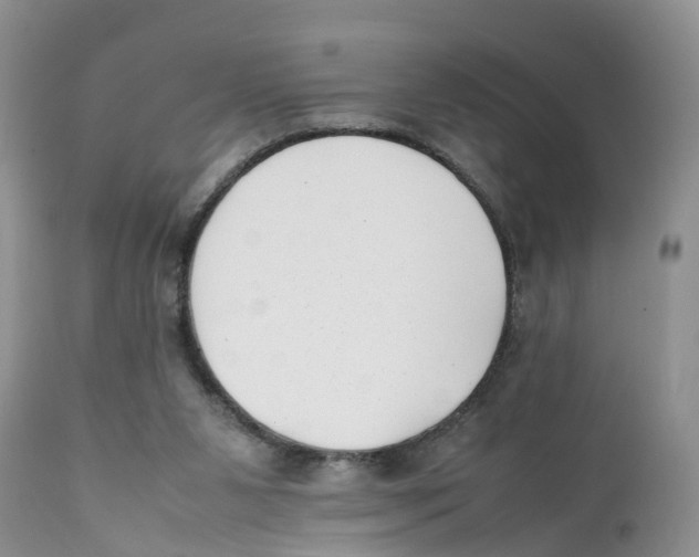 X0000111630111200908141353